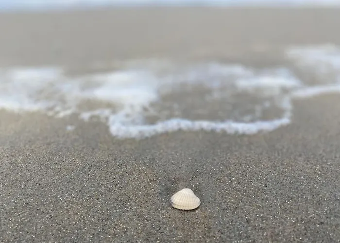 Ella Am Сasa de vacaciones *